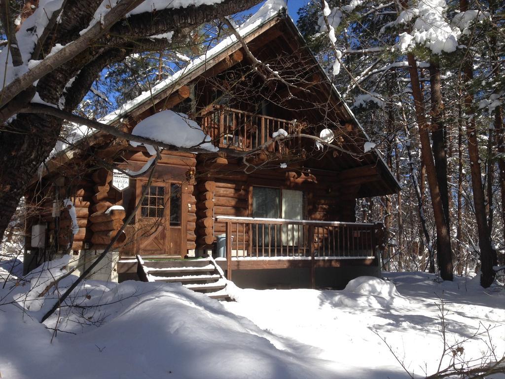 Holiday Cottage Green Valley Hakuba Exterior foto