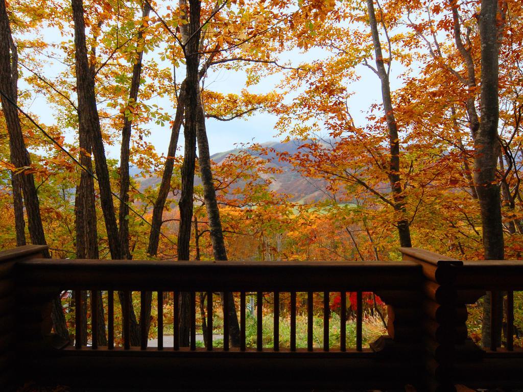 Holiday Cottage Green Valley Hakuba Exterior foto