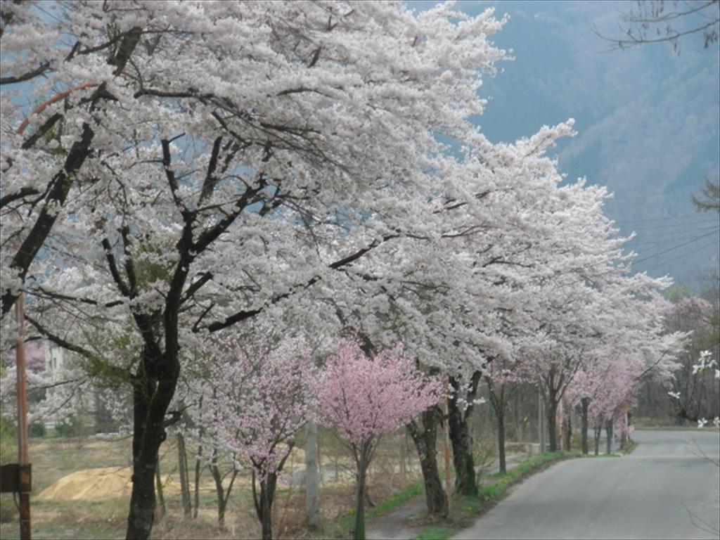 Holiday Cottage Green Valley Hakuba Exterior foto