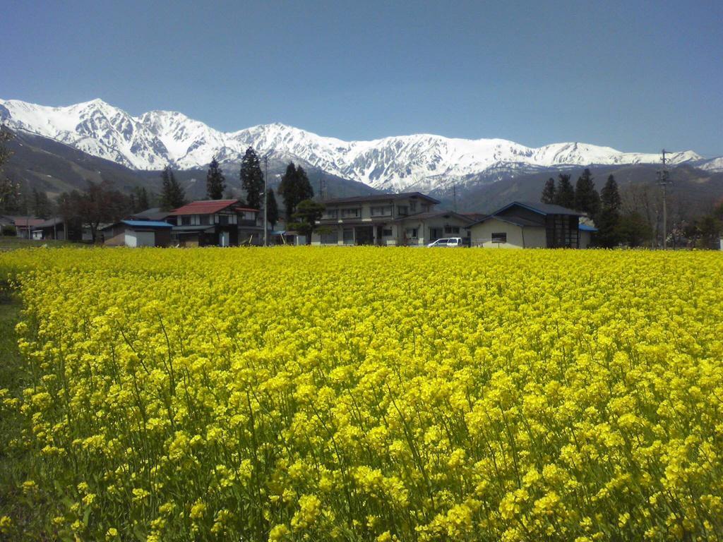 Holiday Cottage Green Valley Hakuba Exterior foto