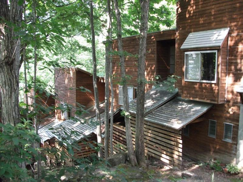 Holiday Cottage Green Valley Hakuba Exterior foto